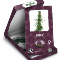 Michka Feminised Seeds - 3