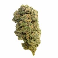 Quicksilver Feminised Seeds - 3