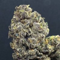 Wedding Cake Feminised Seeds - 3