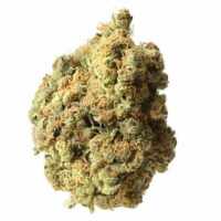AK-020 Auto Feminised Seeds - 3
