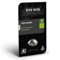 N13 Kush Feminised Seeds - 1