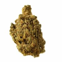 Blue Amnesia Auto Feminised Seeds - 3