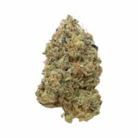 Tangerine G13 Feminised Seeds - 3