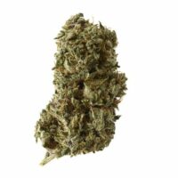 Kosher Tangie Kush Feminised Seeds - 3