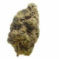 Choco Cheesecake Feminised Seeds - 3