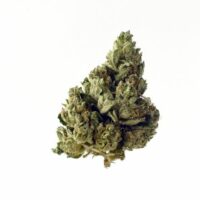 Choco Kush Auto Feminised Seeds - 3