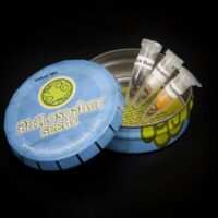 Indoor Mix Feminised Seeds - 6